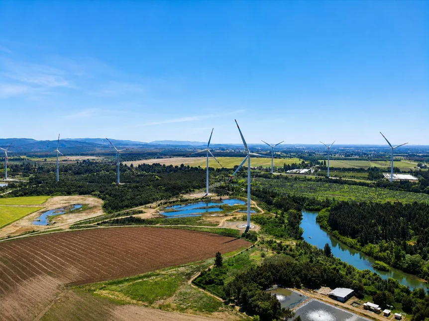 PE La Flor - imagen